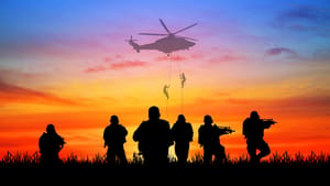 Navy Seals at sunrise