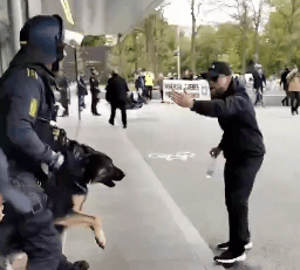 Danish Police Use K9 Dogs to Clear Anti-Israel Protest in Copenhagen