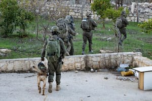 IDF soldiers operate in South Lebanon 