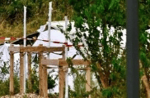 Skydiving Plane Crashes in Eastern France