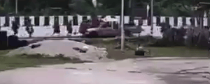 8 Monks Dead After Child Driver Plows Into Procession