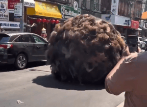 Giant Hairball Rolls Through Manhattan Street