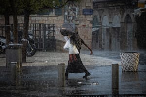 Rain