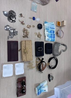 Stolen items