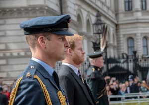 Prince William and his brother Harry