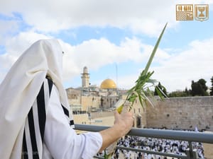 The second day of Birkat Kohanim, Chol HaMoed Sukkot 5786