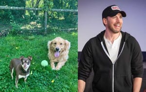 Chris Evans with the two dogs he helped find a home