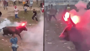 Bull with fireworks strapped to horns at Colombian festival