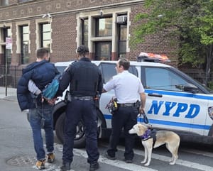 Williamsburg arrest