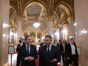 Herzog and Péter Magyar
