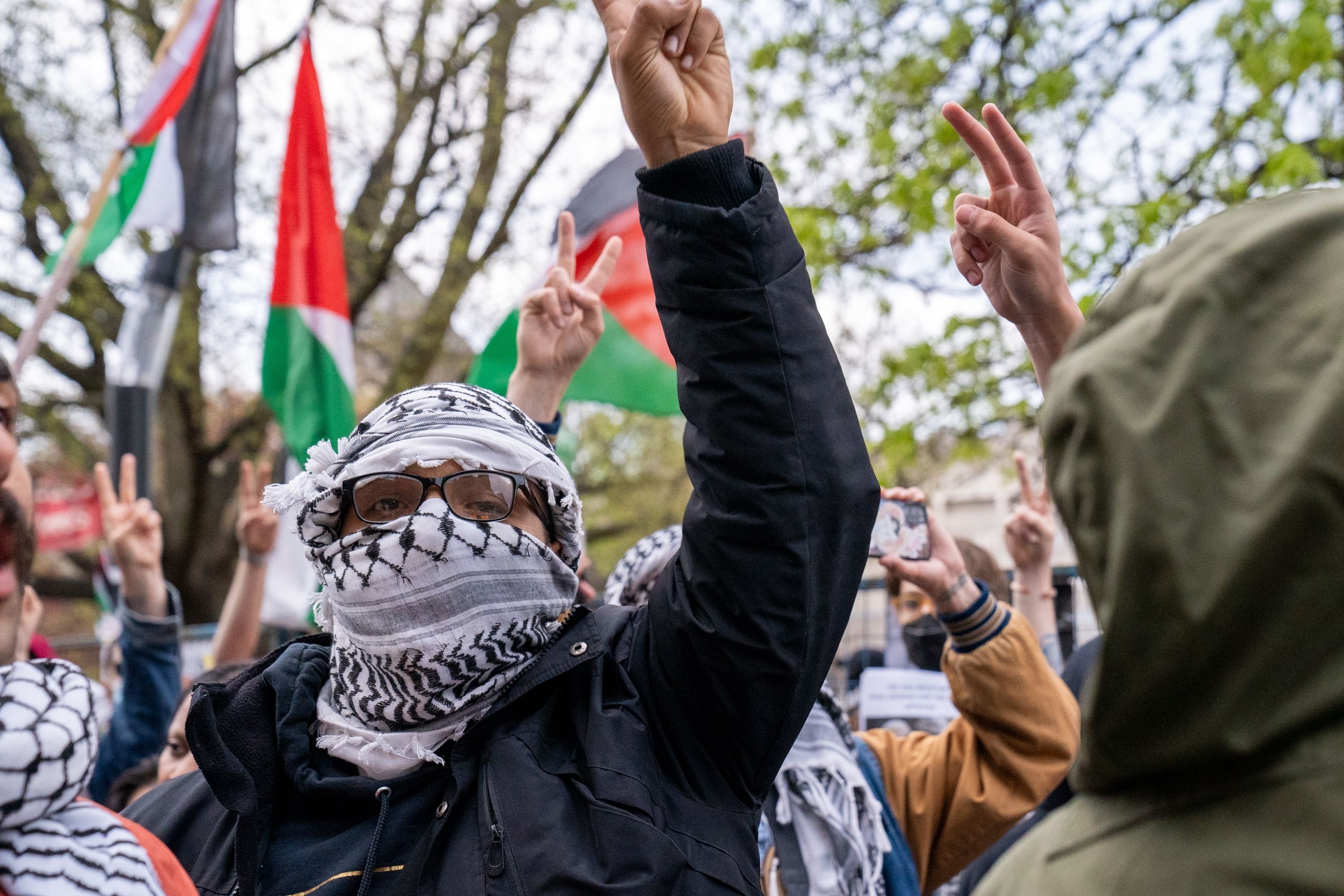 Masked Protester