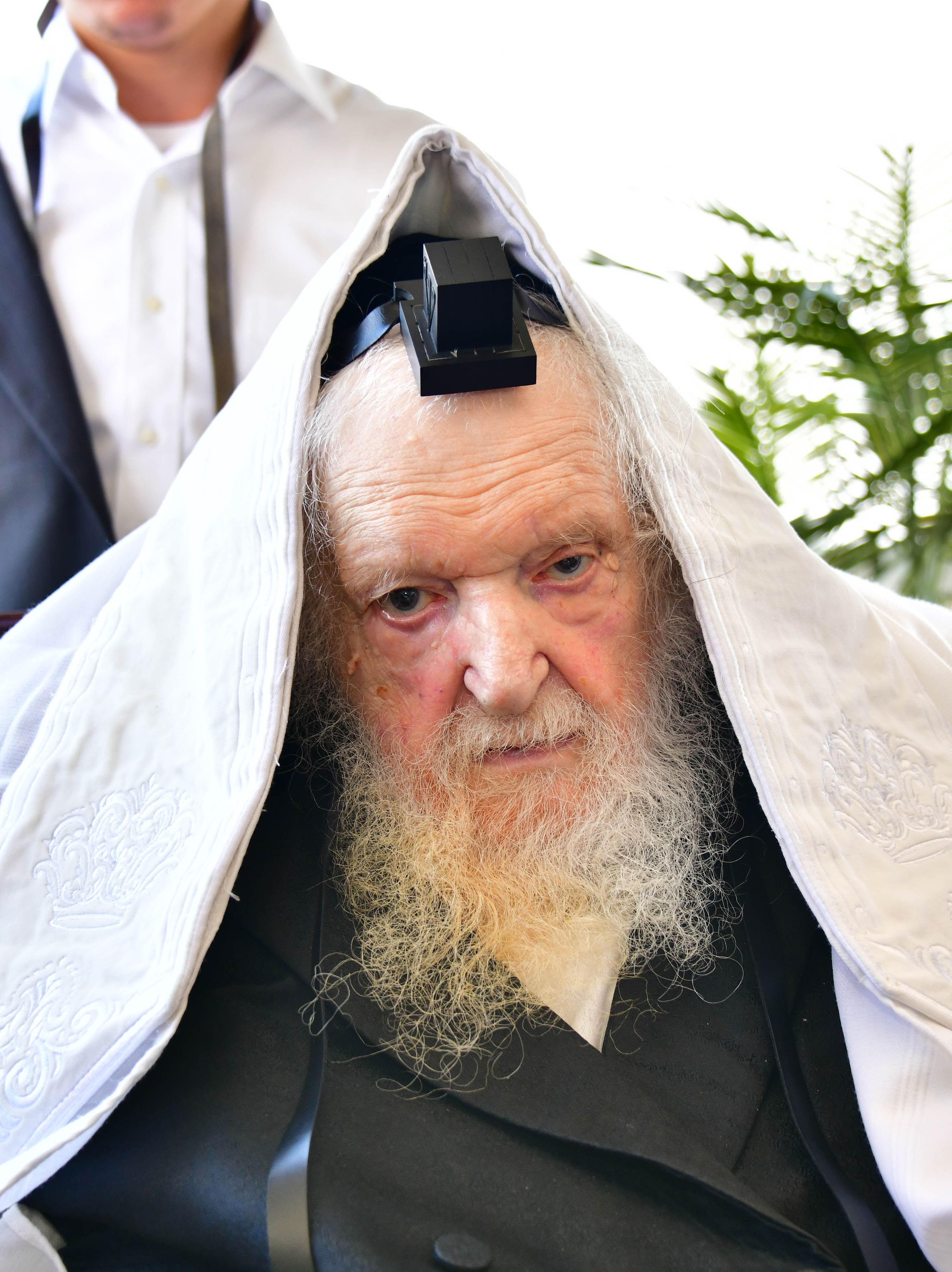 HaRav Moshe Sternbuch shlita davening Shacharis in Netanya