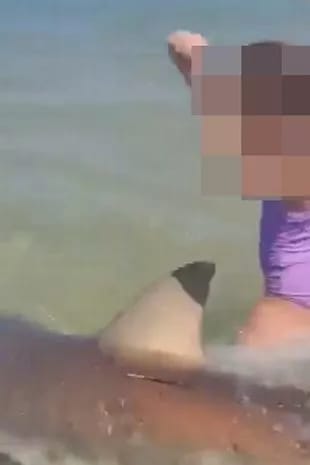 A child standing in the water surrounded by sharks