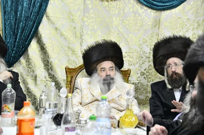 Zidichov Rebbe