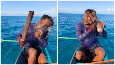 Filipino Fisherman Battles Octopus That Latched Onto His Face
