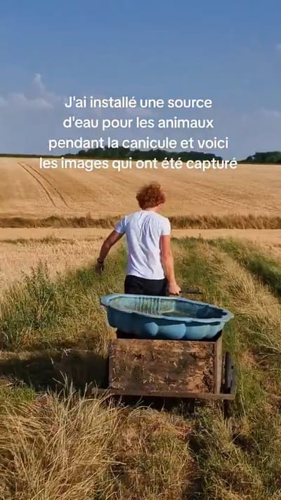 French Farmer's Water Bowl for Wildlife During Heat Wave Captures Remarkable Footage
