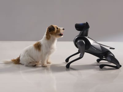 Xiaomi Unveils Second-Generation Robotic Dog With AI Training