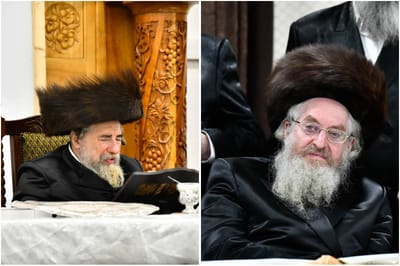 Admorim from Karlin-Stolin and Rachmastrivka 
