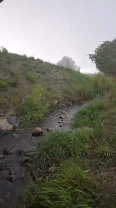 Swiss Emergency Alert System Saves Woman from Severe Hailstorm in Zurich