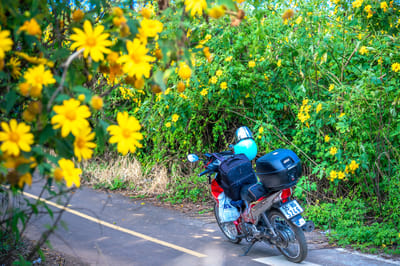 Vietnam