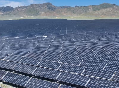 China's Giant Solar Farm Had an Overgrowth Problem. 20,000 Sheep Solved the Problem