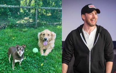 Chris Evans with the two dogs he helped find a home