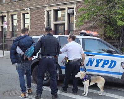 Williamsburg arrest