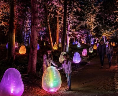 LUMAGICA light festival