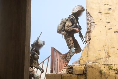 IDF soldiers
