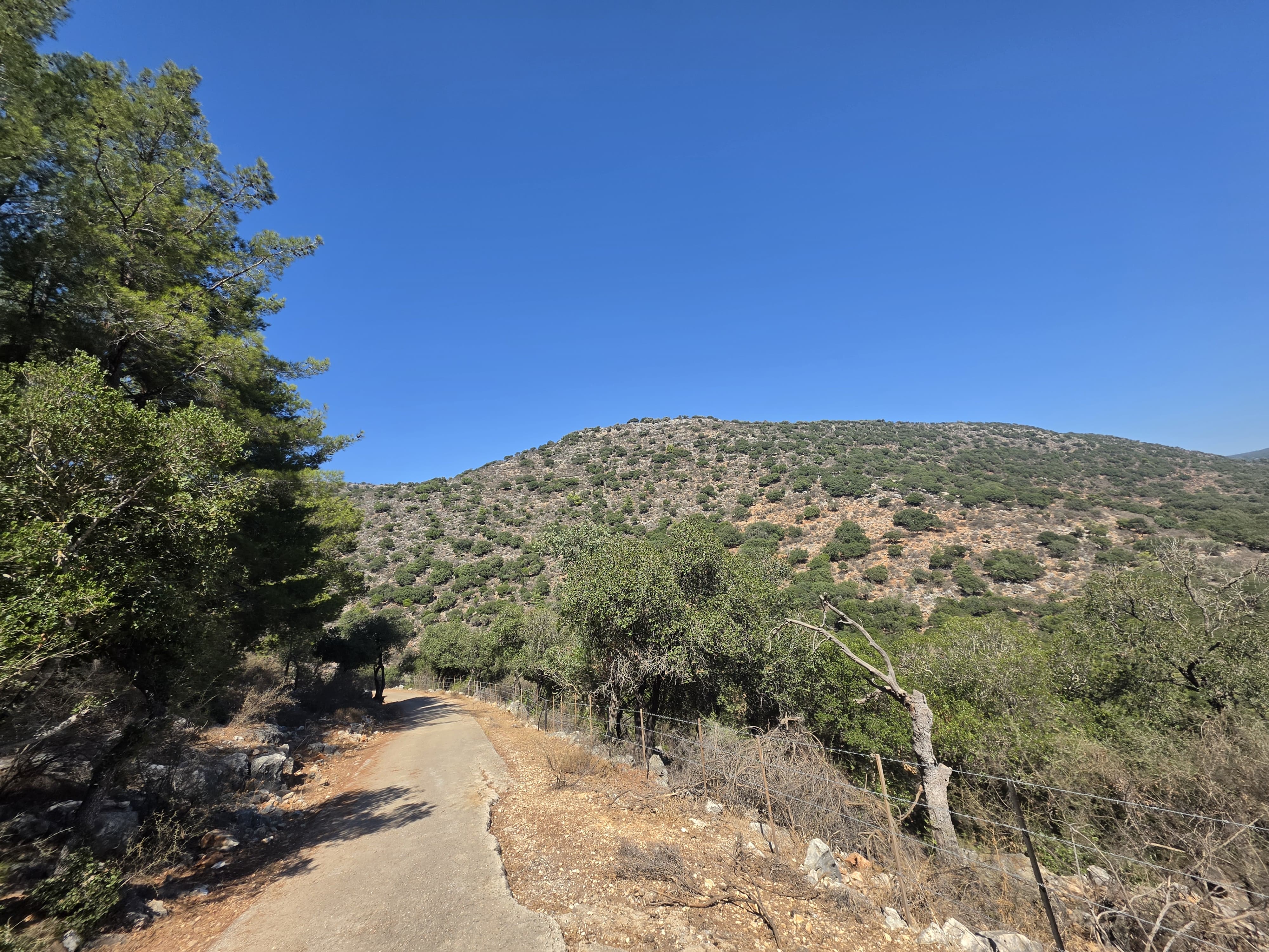 Nahal Betzet