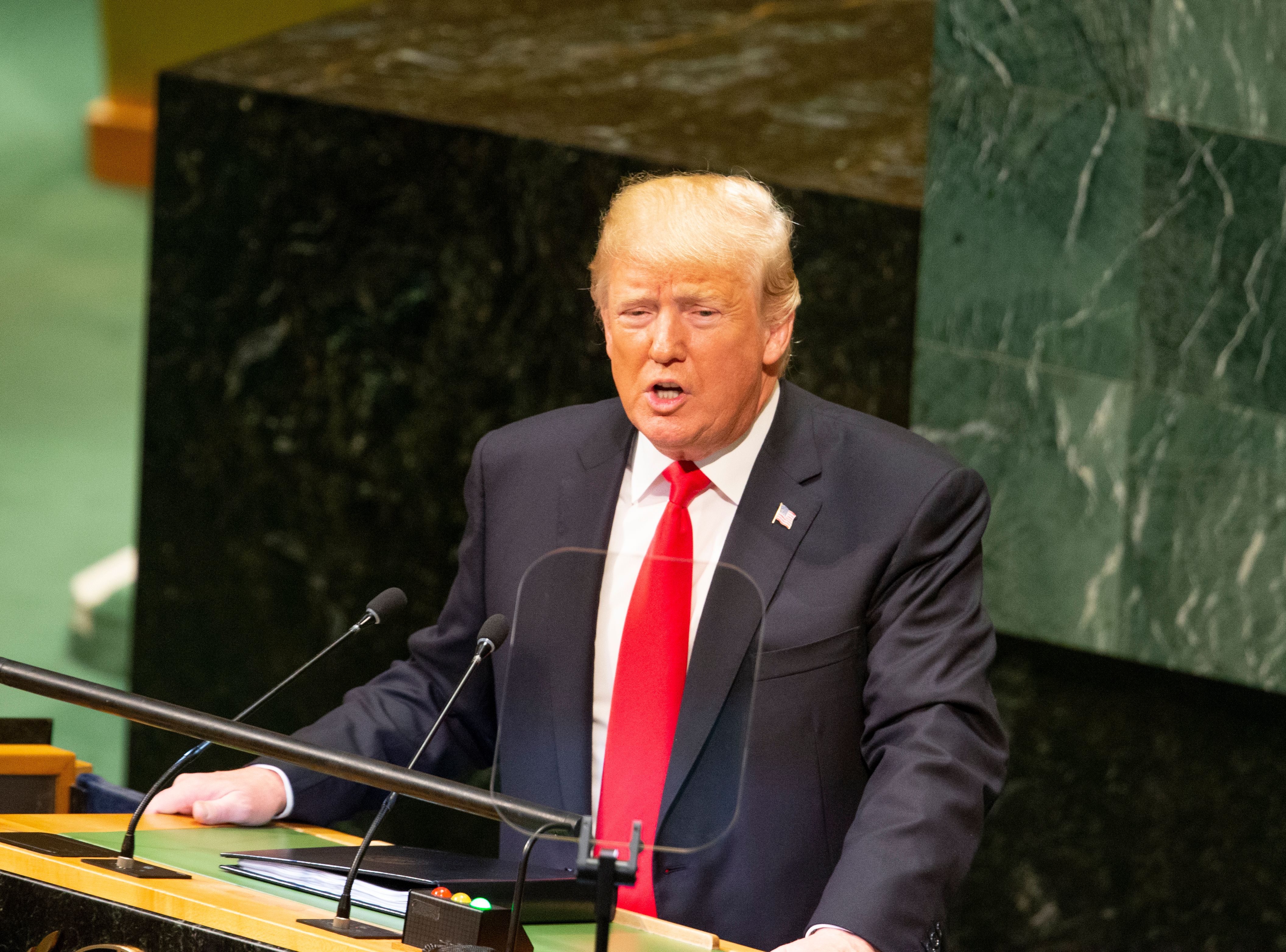 Trump at the UN General Assembly; Photo: Lev Radin/Shutterstock