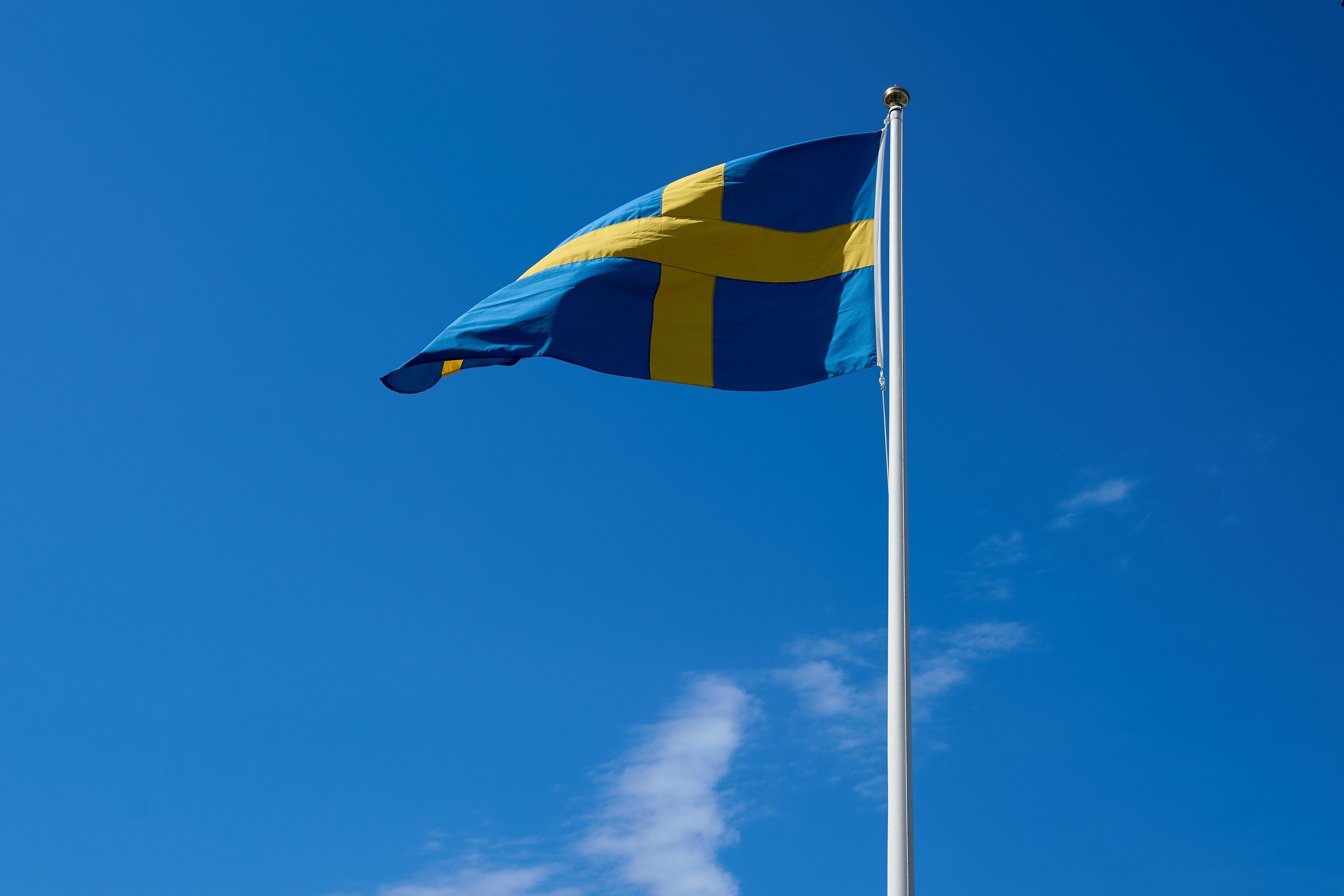 Swedish flag