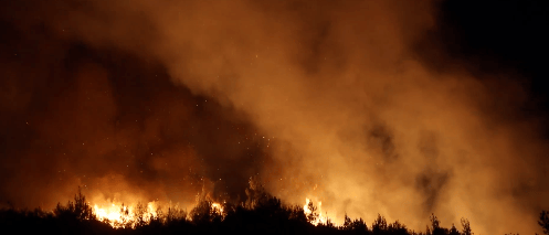 Latakia wildfires