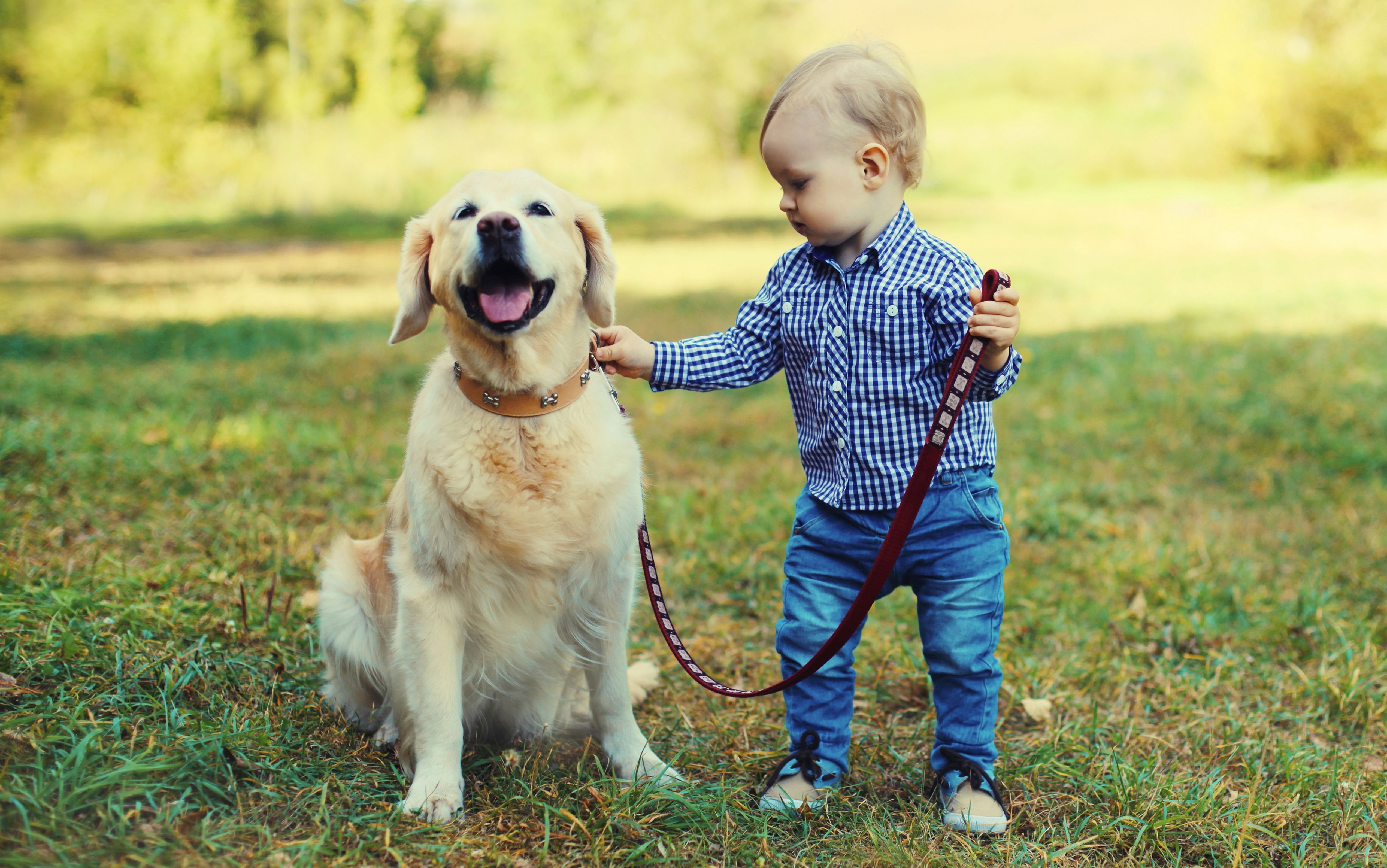 Dog with kid