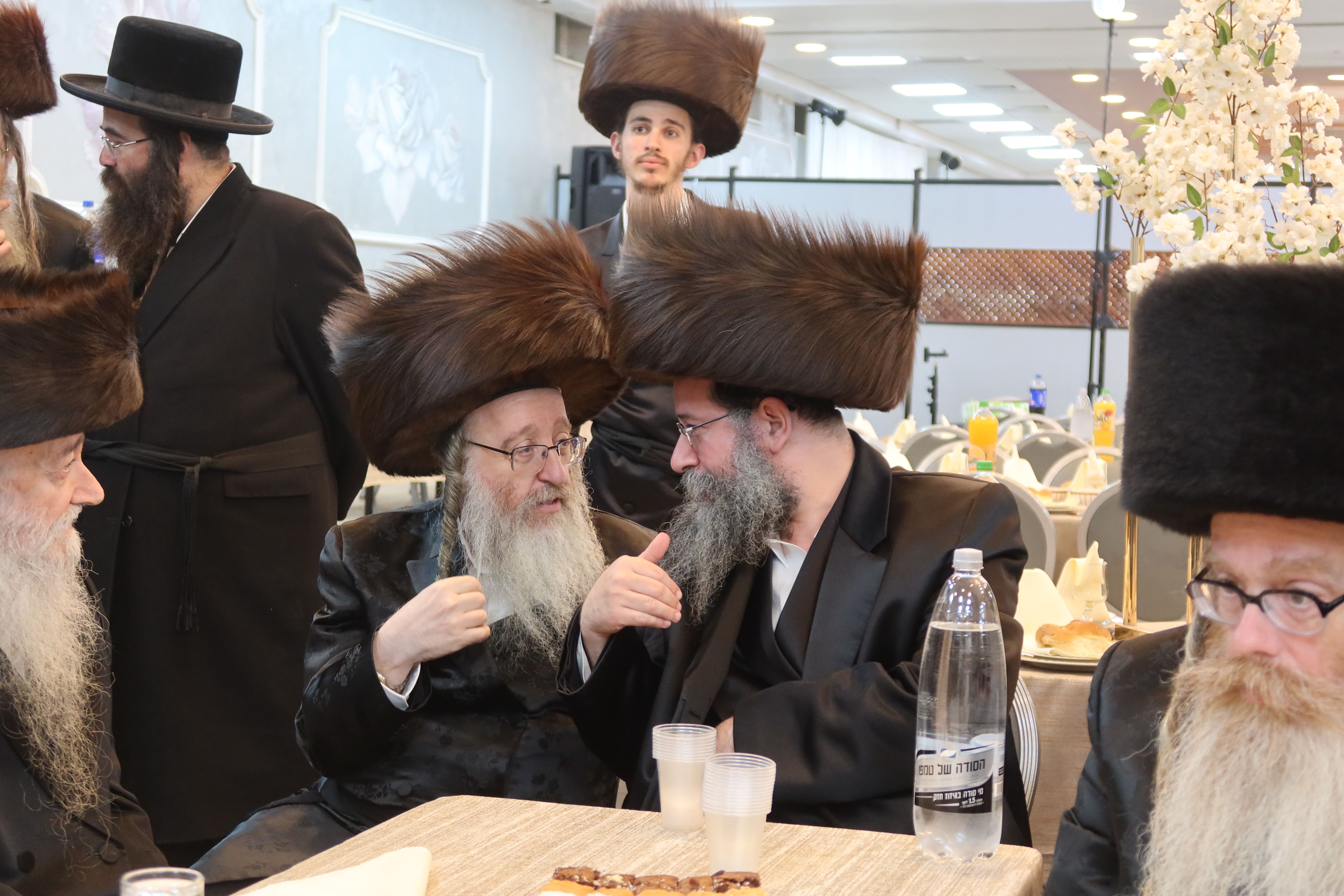 The Skverer-Kopyczynitzer-Tolna Beit Shemesh wedding | Photo: A. Shtul