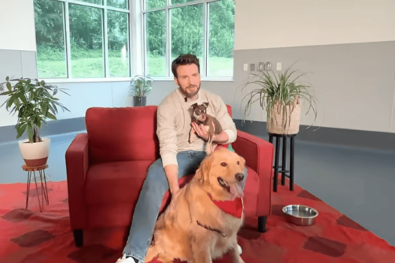 Evans with the dogs