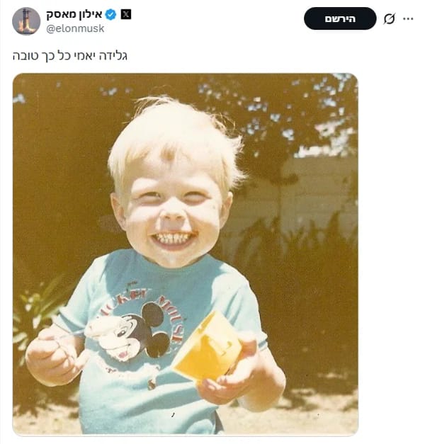 Elon Musk as a boy