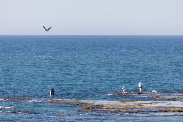 Palmachim beach