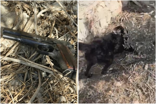 Police Dog Sniffs Out Hidden Gun Buried in Um Al-Fahm Field