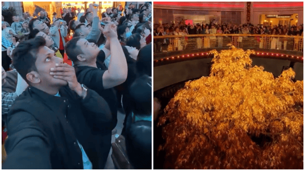 The golden secret: the $256 million tree that rises from the ground