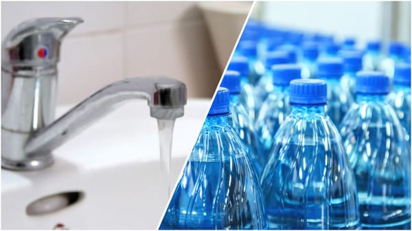 Bottled or tap water