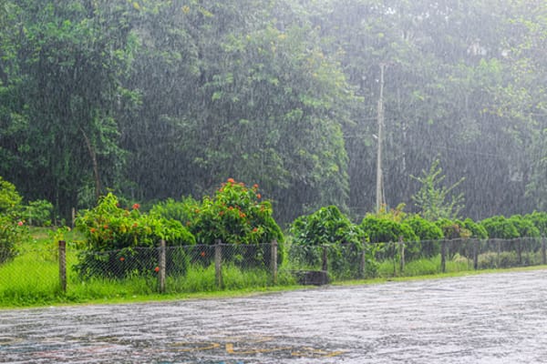 Temperatures Plunge; Rain and Strong Winds Forecast Across Israel