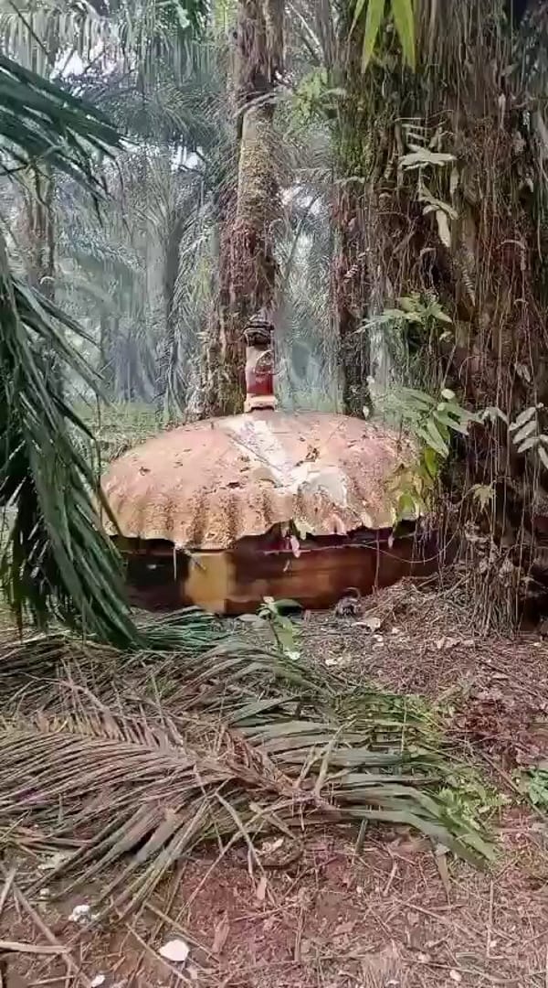 Mystery Metal Debris Crashes into Indonesian Palm Plantation