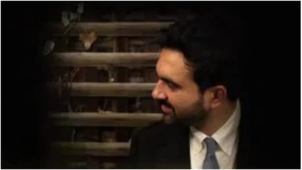 NYC Mayor Calls Israel Genocide Regime After Activists Detained Near Beitar