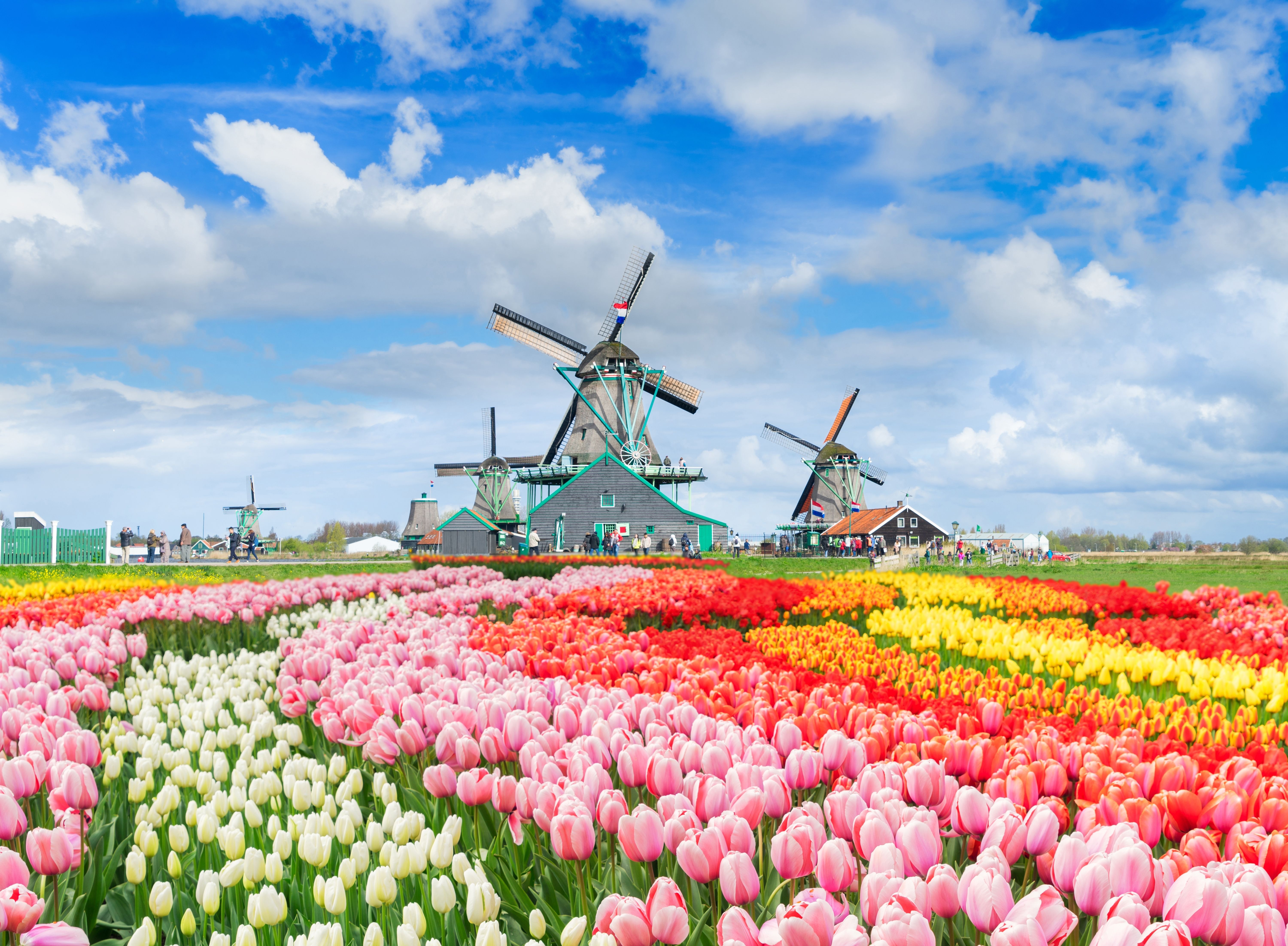 Holland