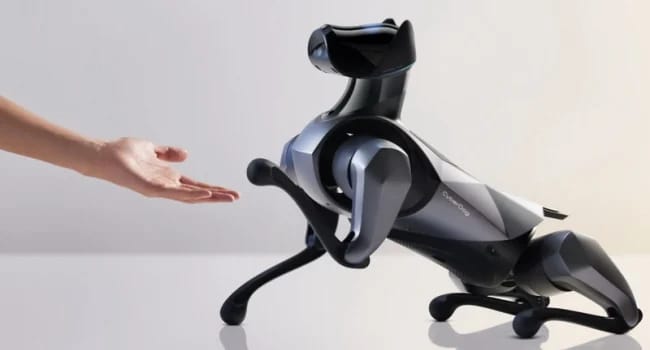 Xiaomi Unveils Second-Generation Robotic Dog With AI Training