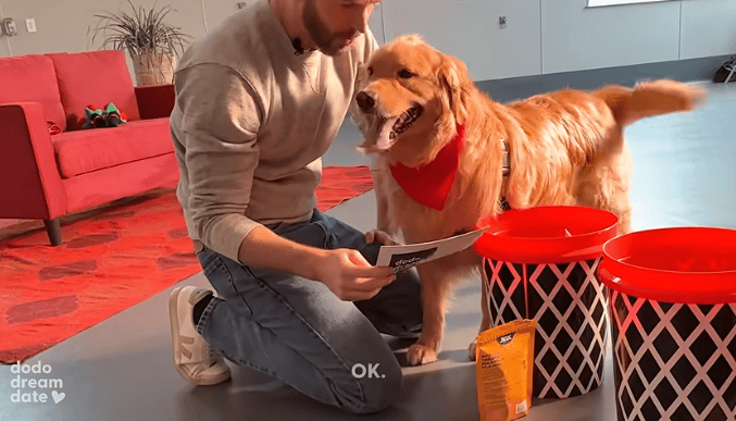 Evans with the dogs