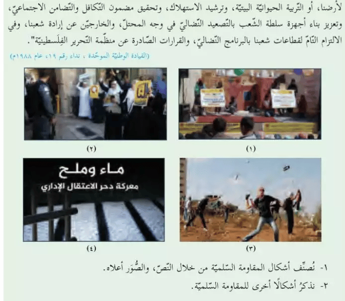 Rock throwing as an example of peaceful resistance