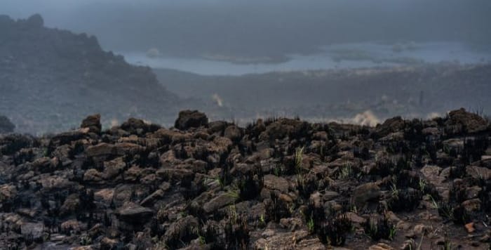 The scene of the fires in Hawaii
