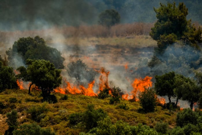 Large fire in Galilee area, northern Israel, on June 12, 2024.